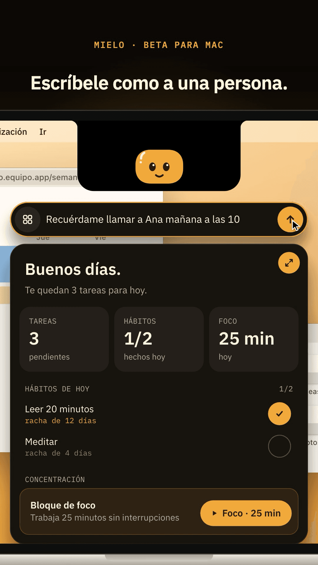 Mielo for Mac — character in the notch island with the day panel open
